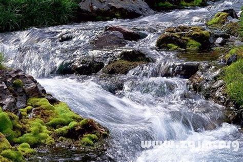 夢到溪水